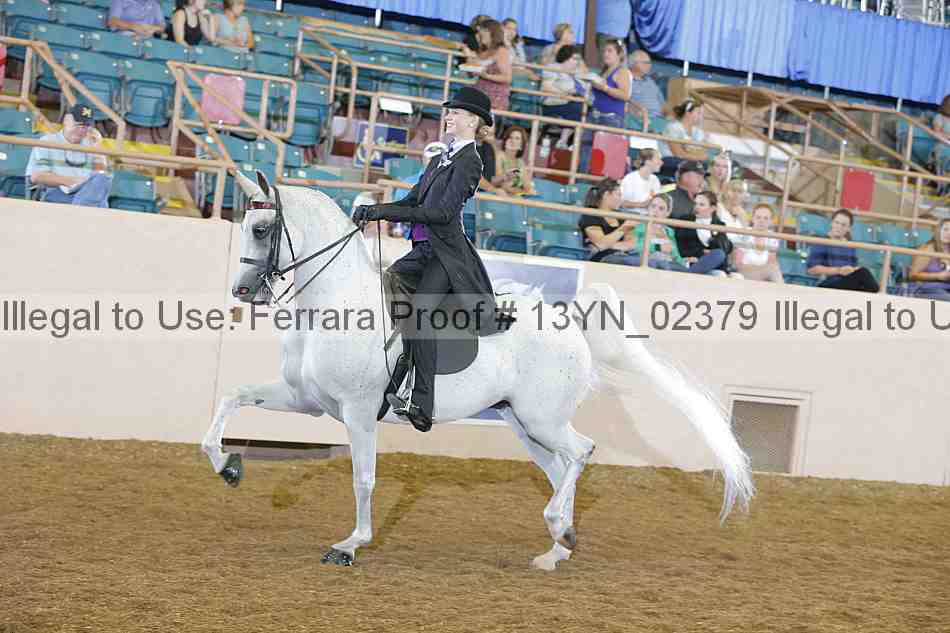 Proof 13yn_02379