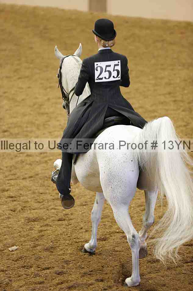 Proof 13yn_02380