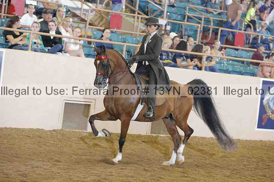 Proof 13yn_02381