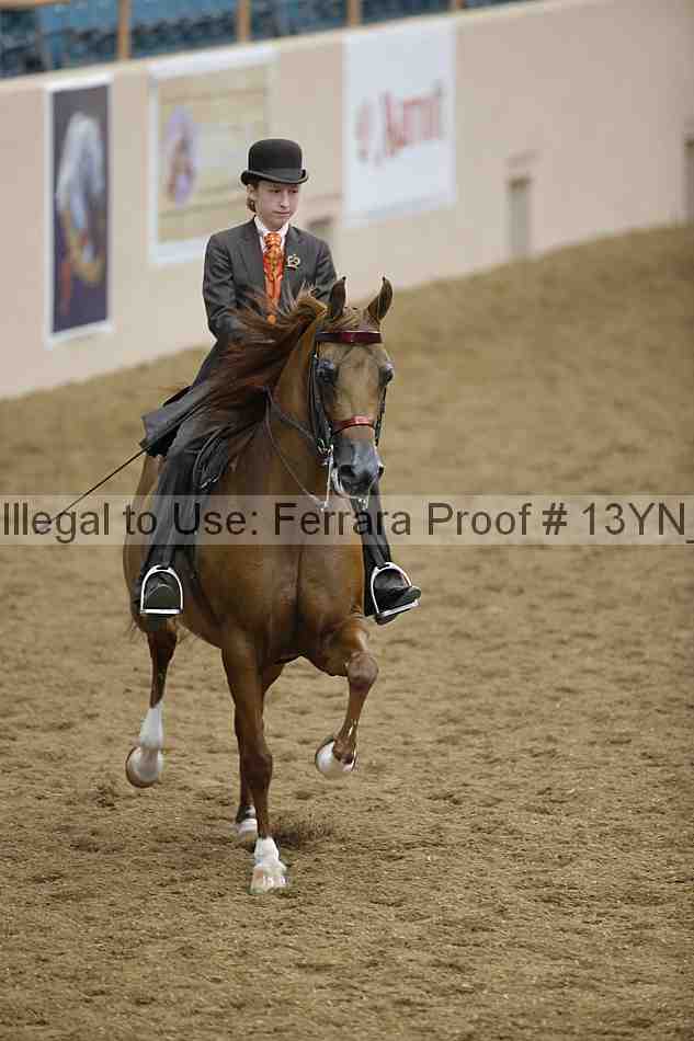 Proof 13yn_02384