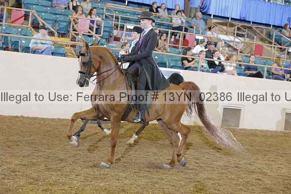 Proof 13yn_02386
