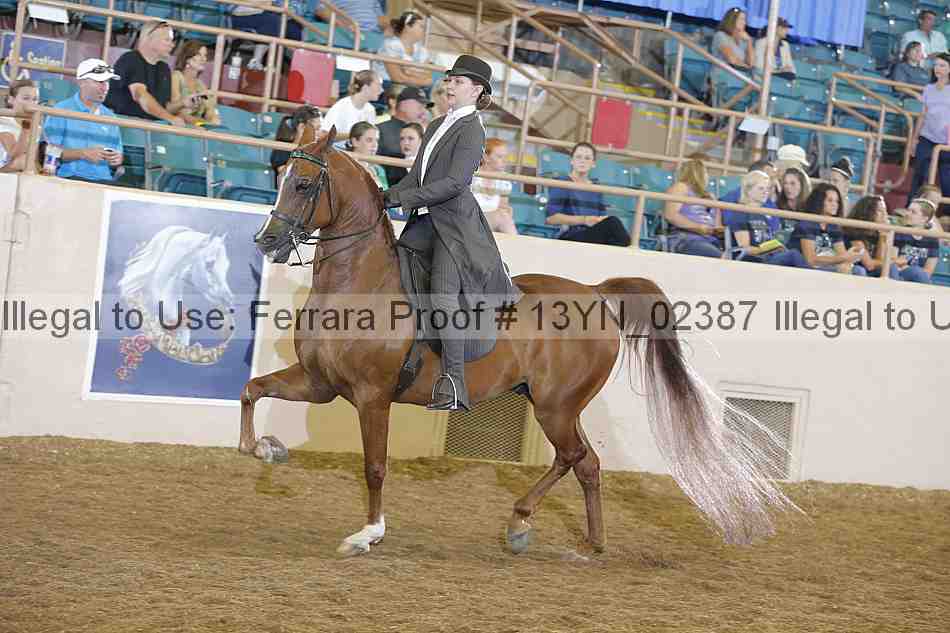 Proof 13yn_02387