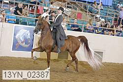 13yn_02387 proof