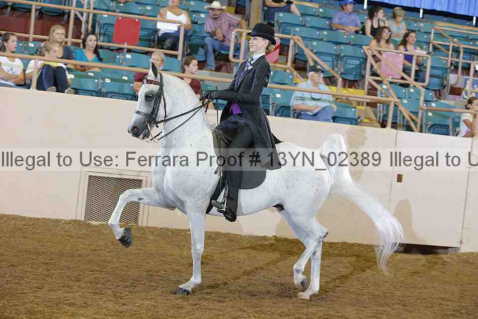 Proof 13yn_02389