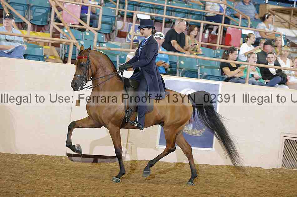 Proof 13yn_02391