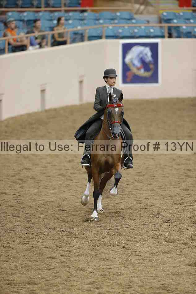 Proof 13yn_02392