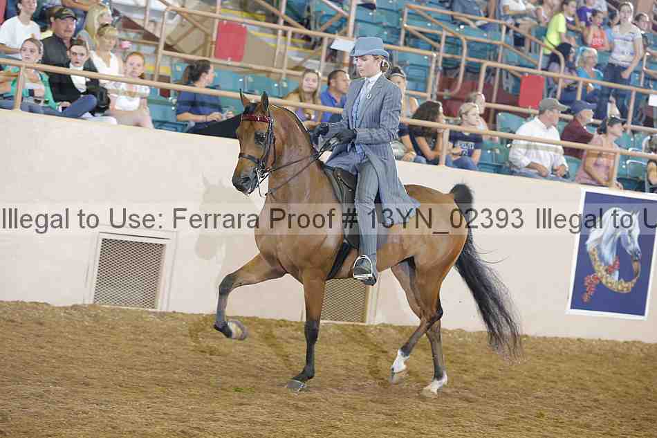 Proof 13yn_02393