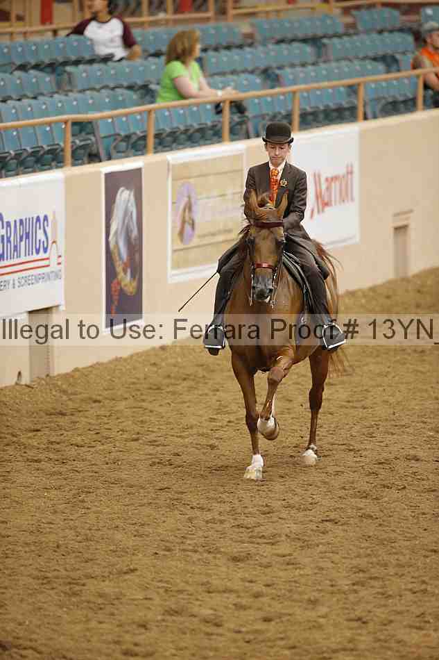 Proof 13yn_02394