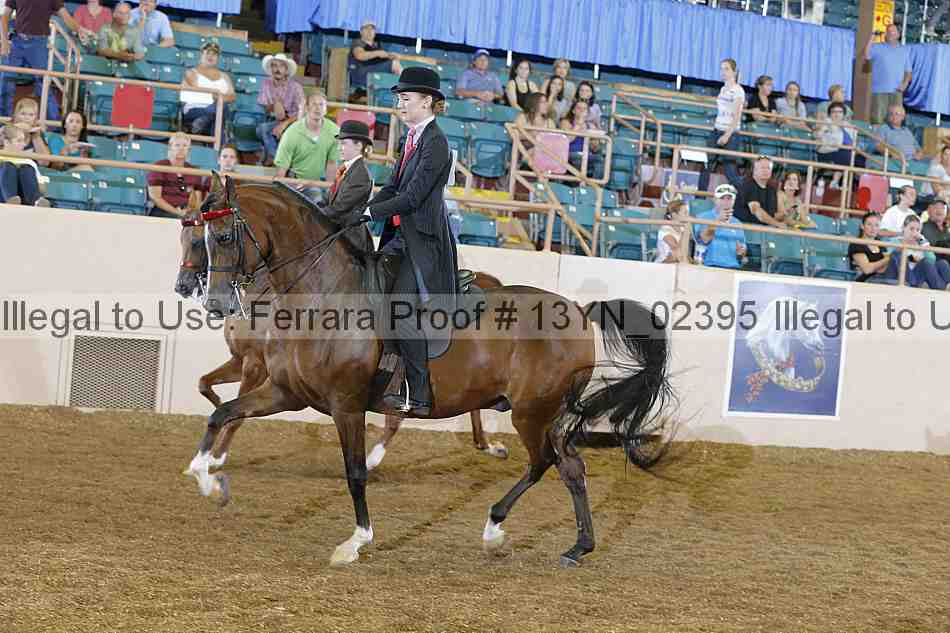 Proof 13yn_02395