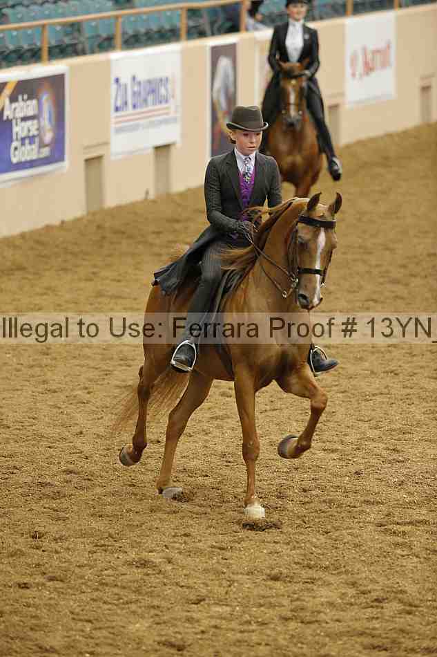 Proof 13yn_02396