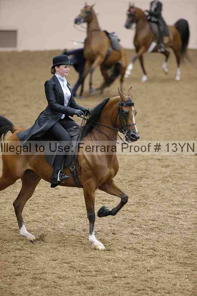 Proof 13yn_02397
