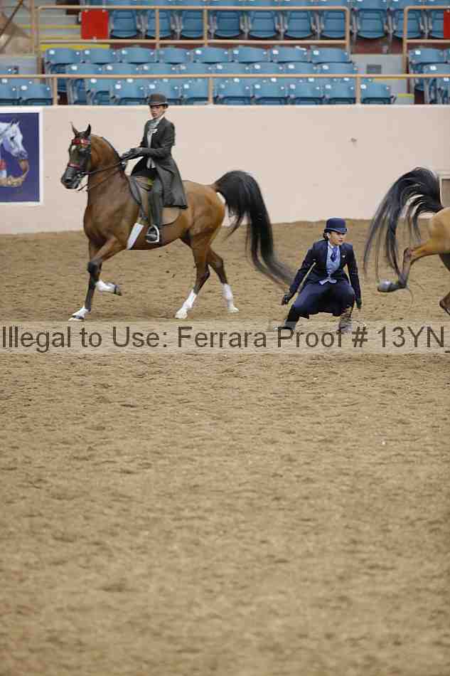 Proof 13yn_02398