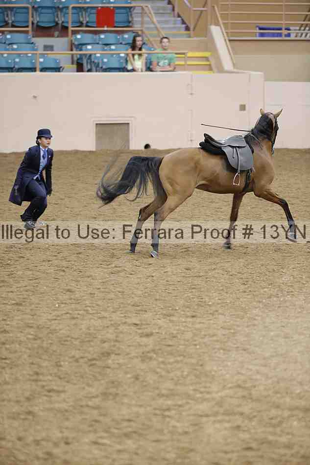 Proof 13yn_02399
