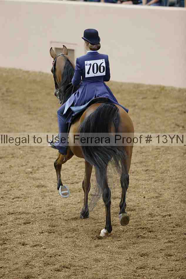 Proof 13yn_02401