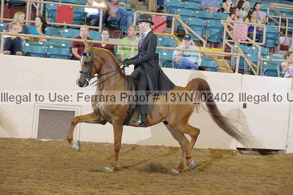 Proof 13yn_02402
