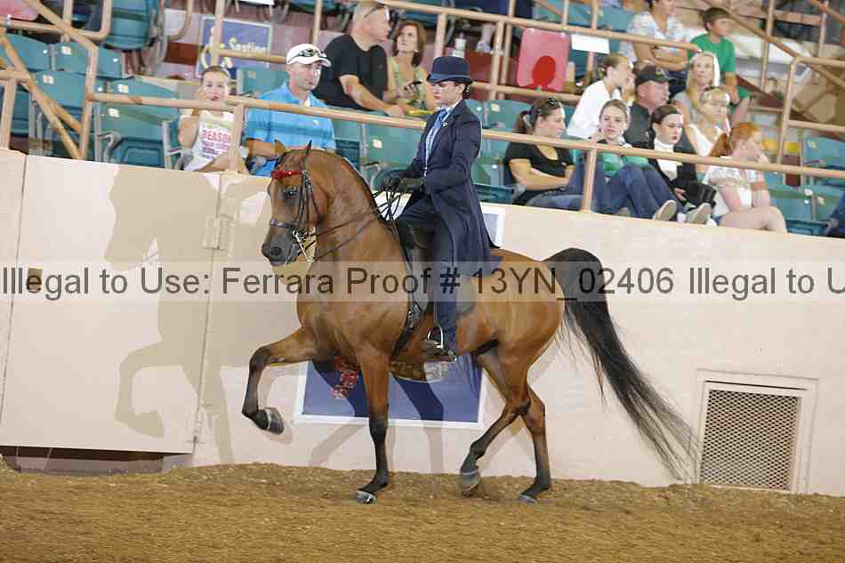 Proof 13yn_02406