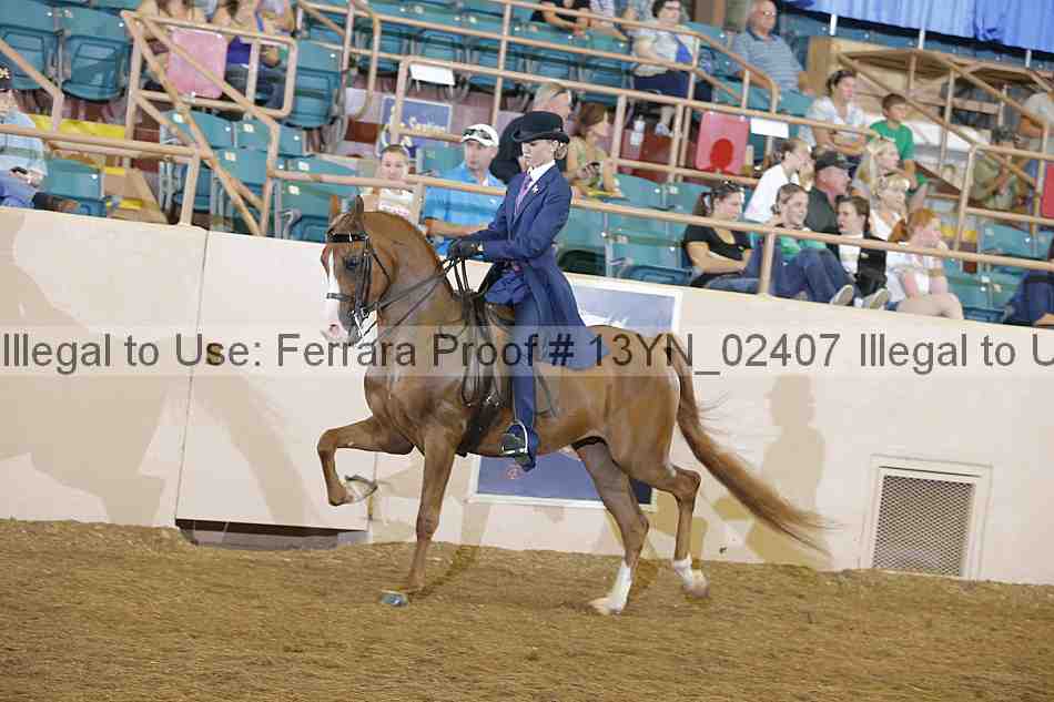 Proof 13yn_02407
