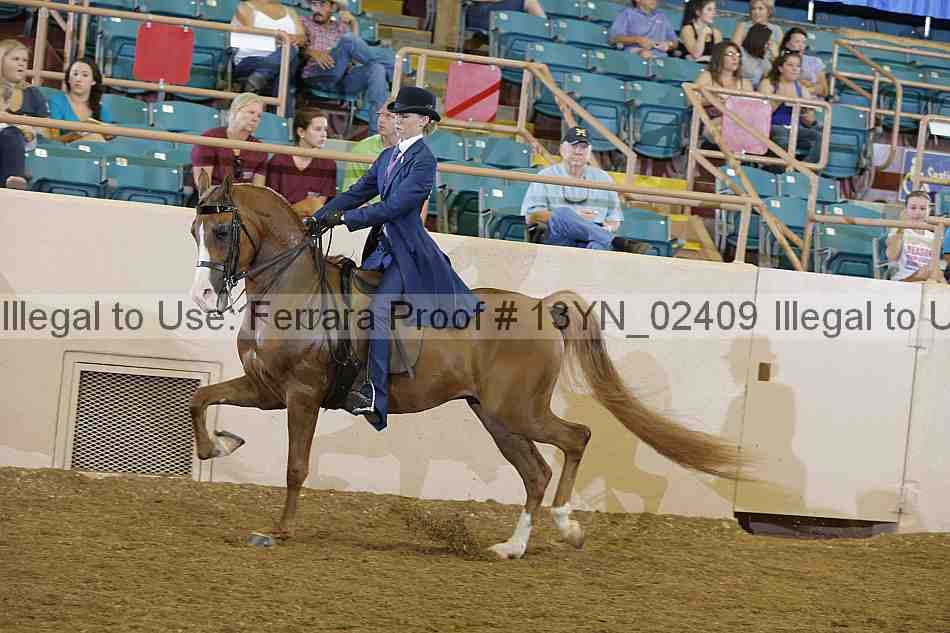 Proof 13yn_02409