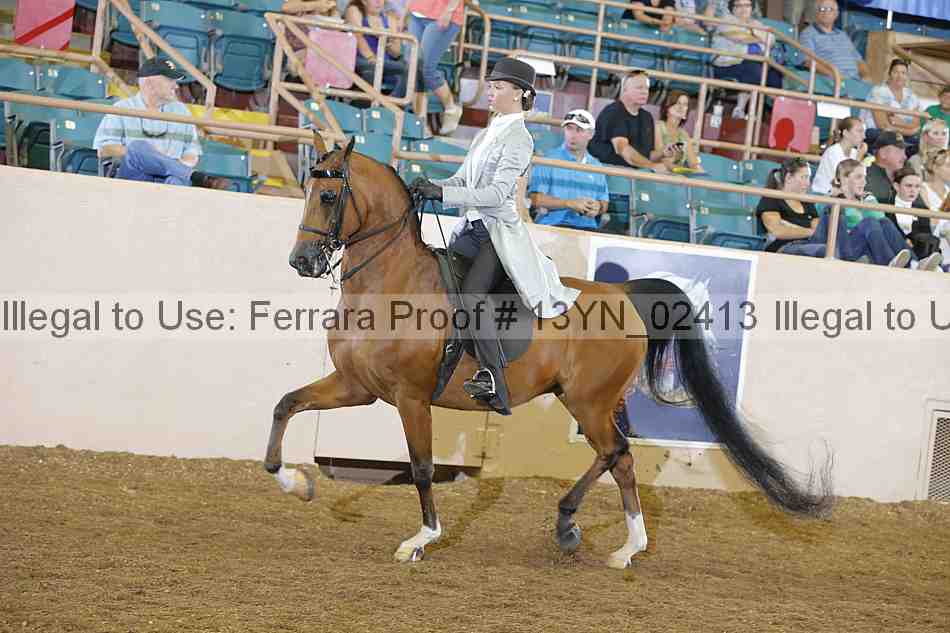 Proof 13yn_02413