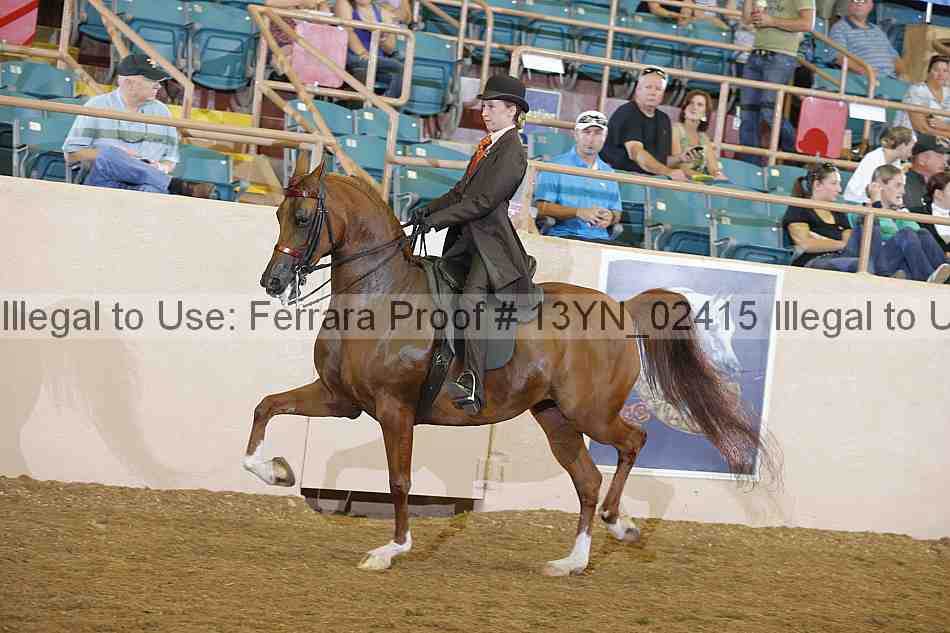 Proof 13yn_02415