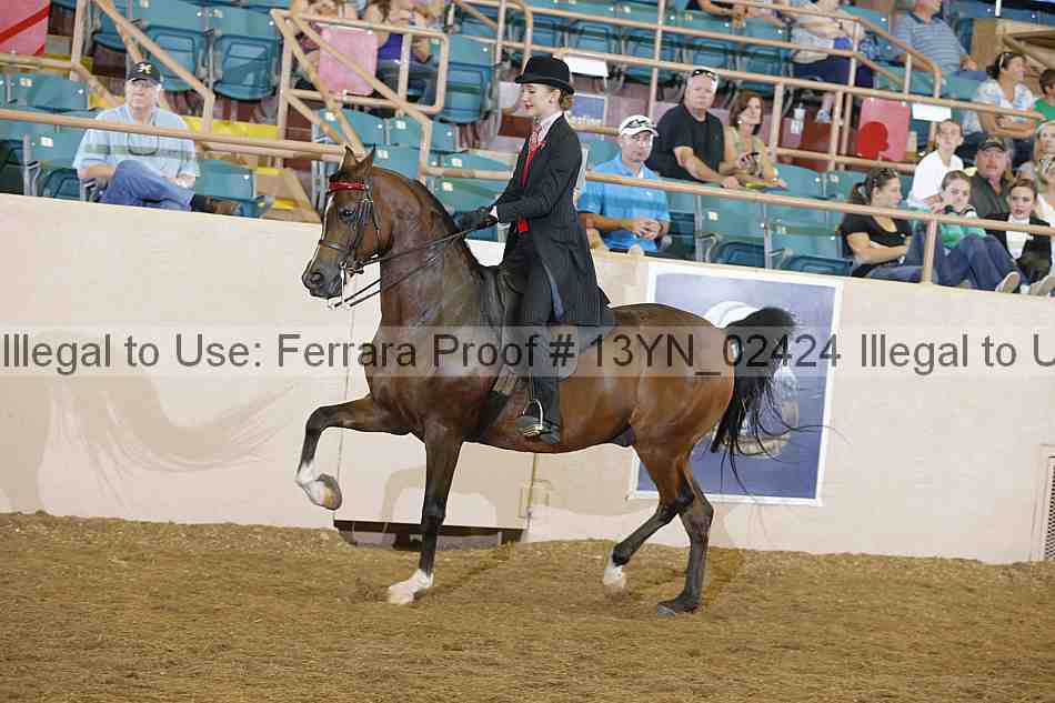 Proof 13yn_02424
