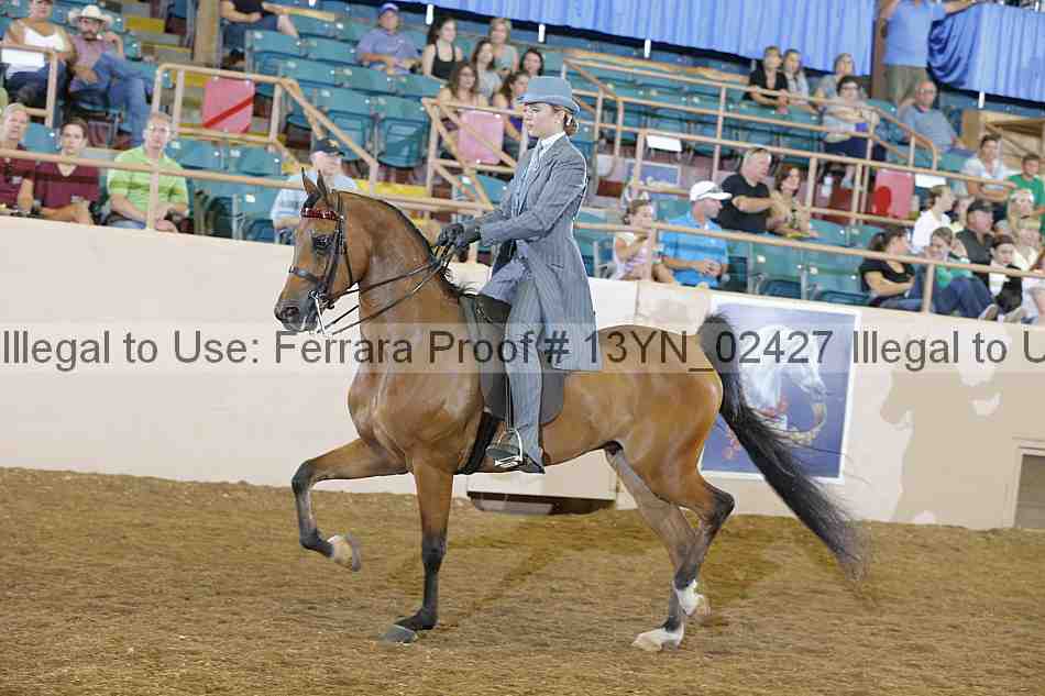 Proof 13yn_02427