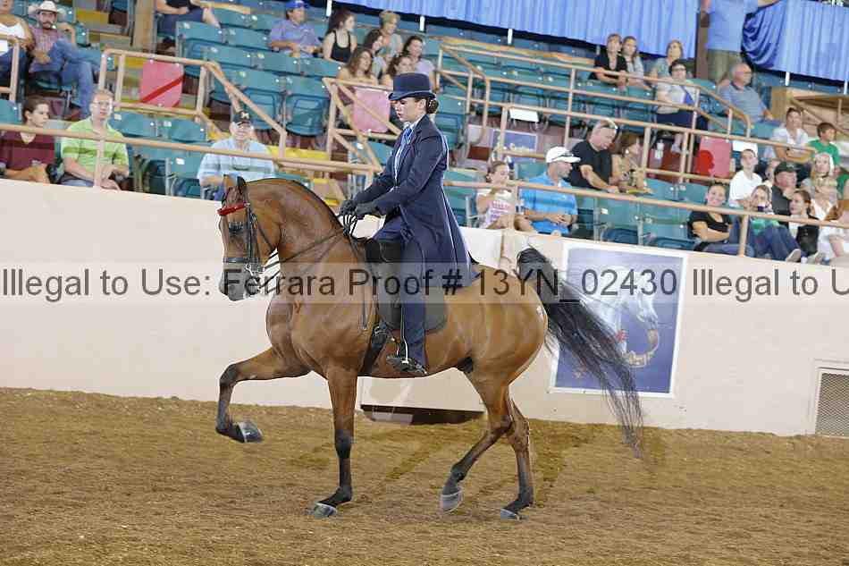 Proof 13yn_02430