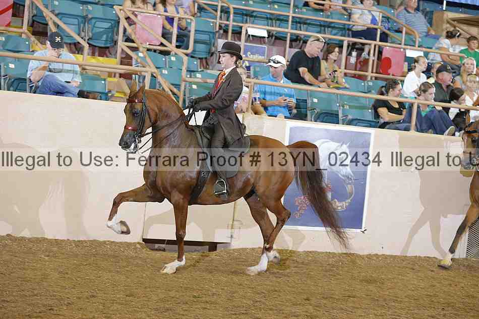 Proof 13yn_02434