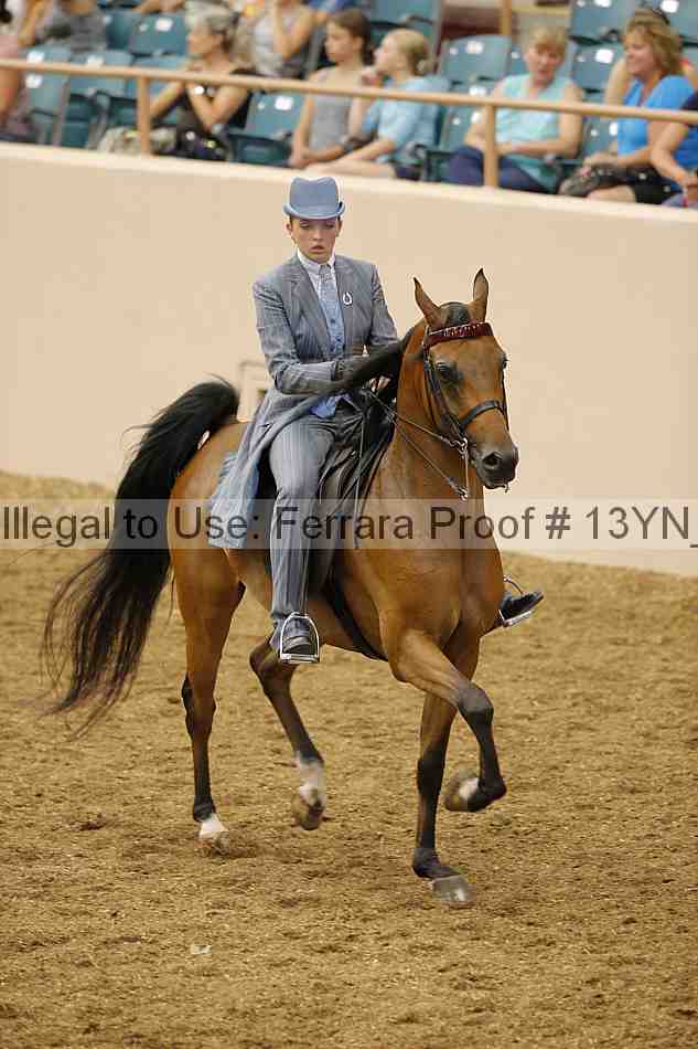Proof 13yn_02438