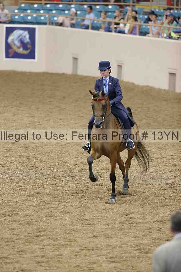 Proof 13yn_02439