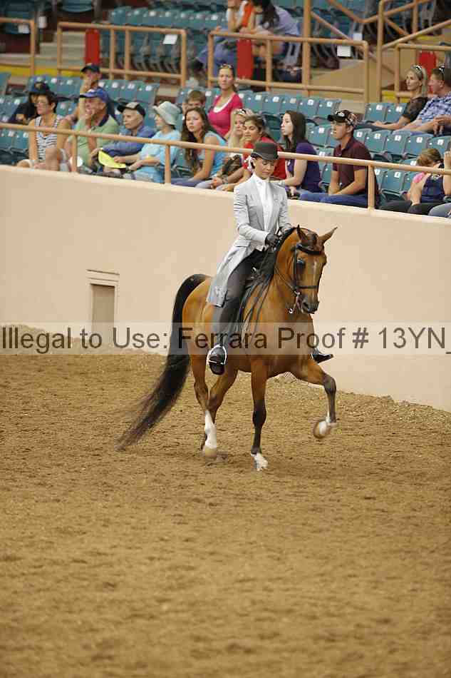 Proof 13yn_02441
