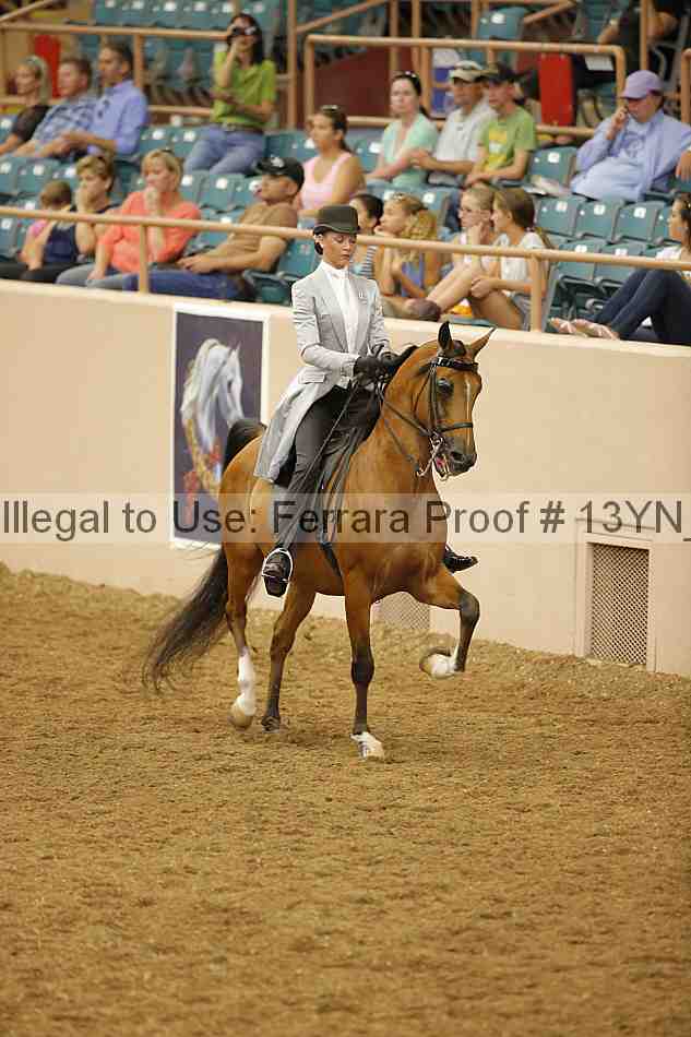Proof 13yn_02442
