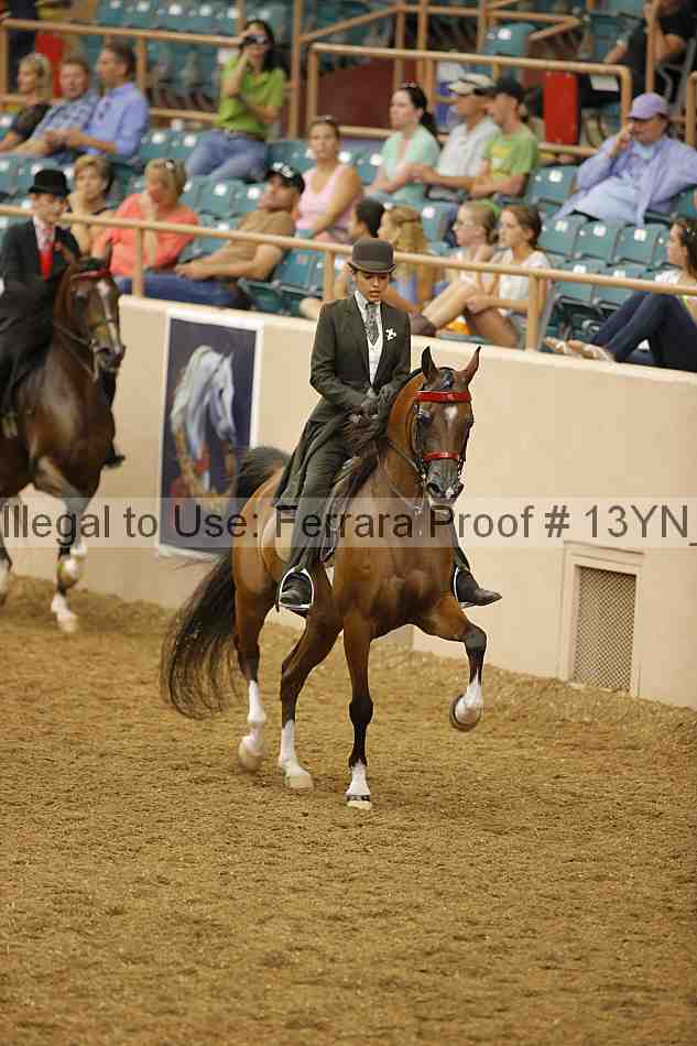 Proof 13yn_02445