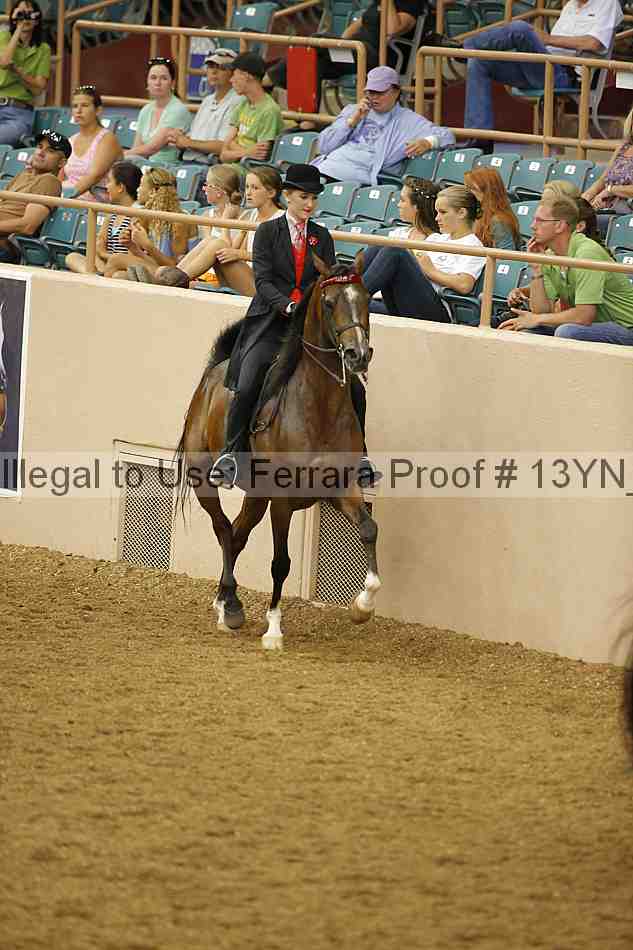 Proof 13yn_02446