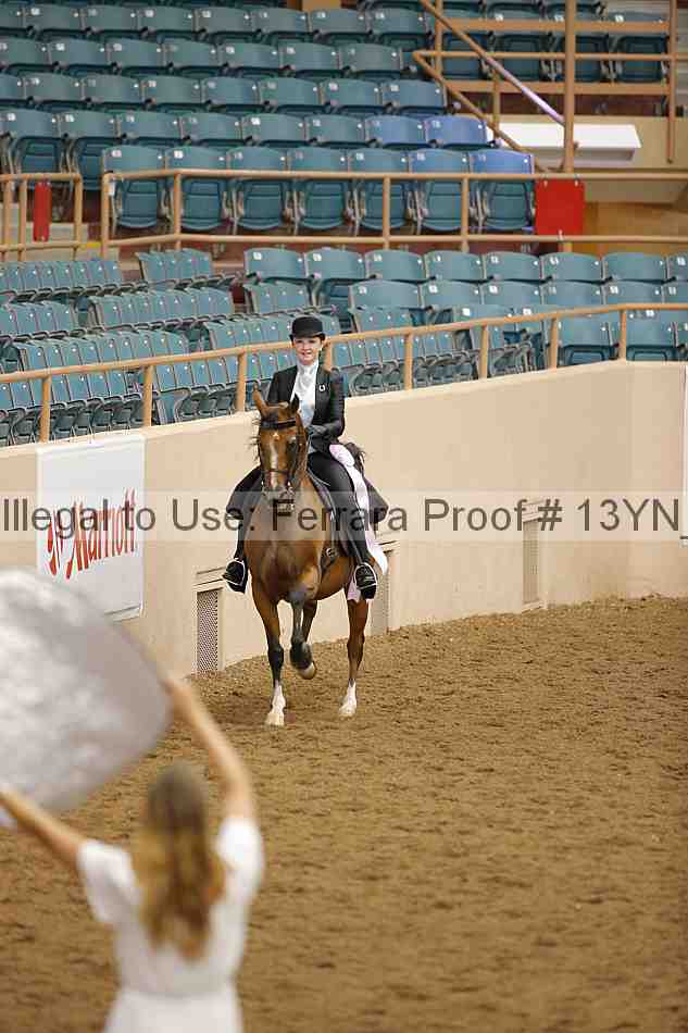 Proof 13yn_02455
