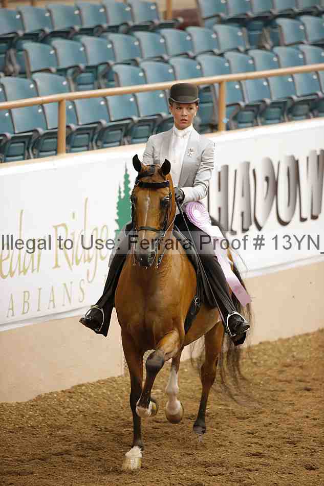 Proof 13yn_02460