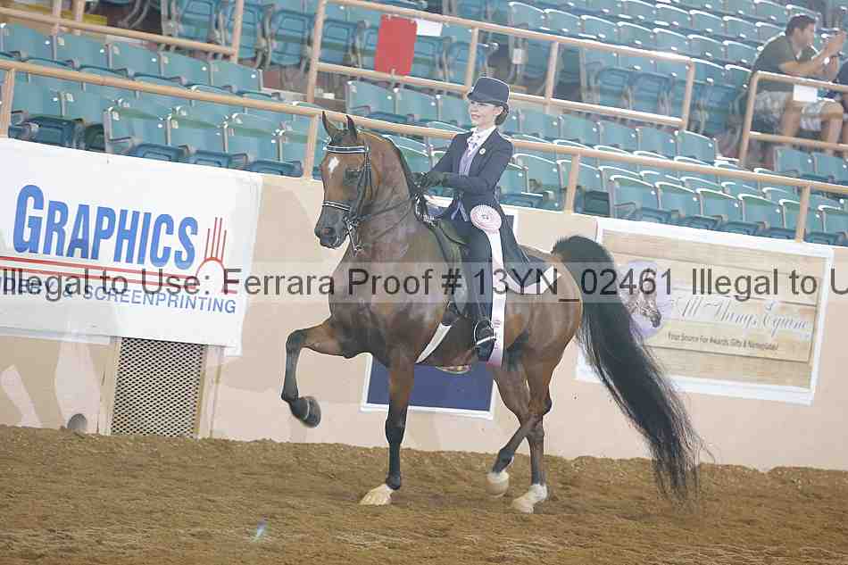 Proof 13yn_02461