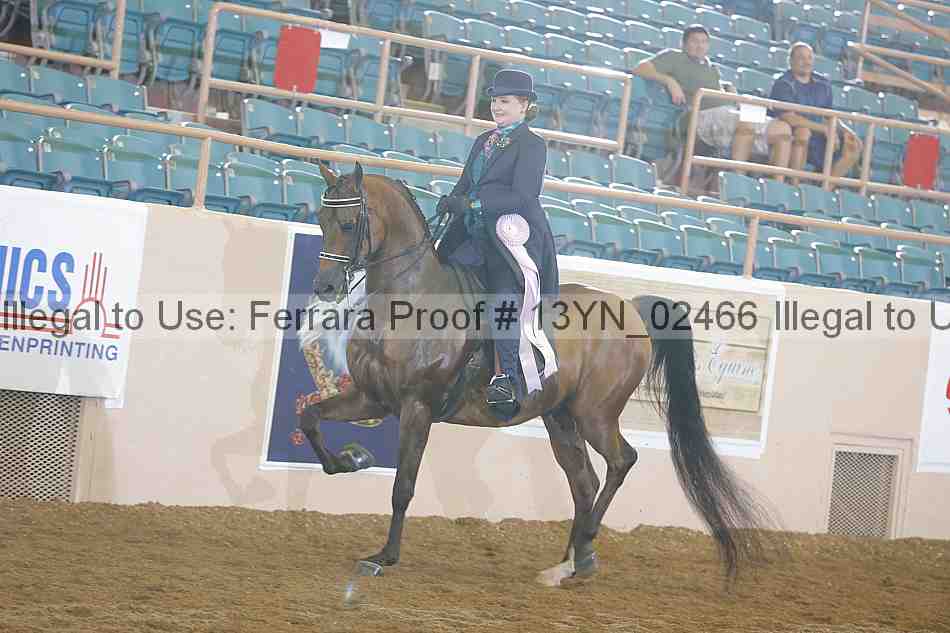 Proof 13yn_02466