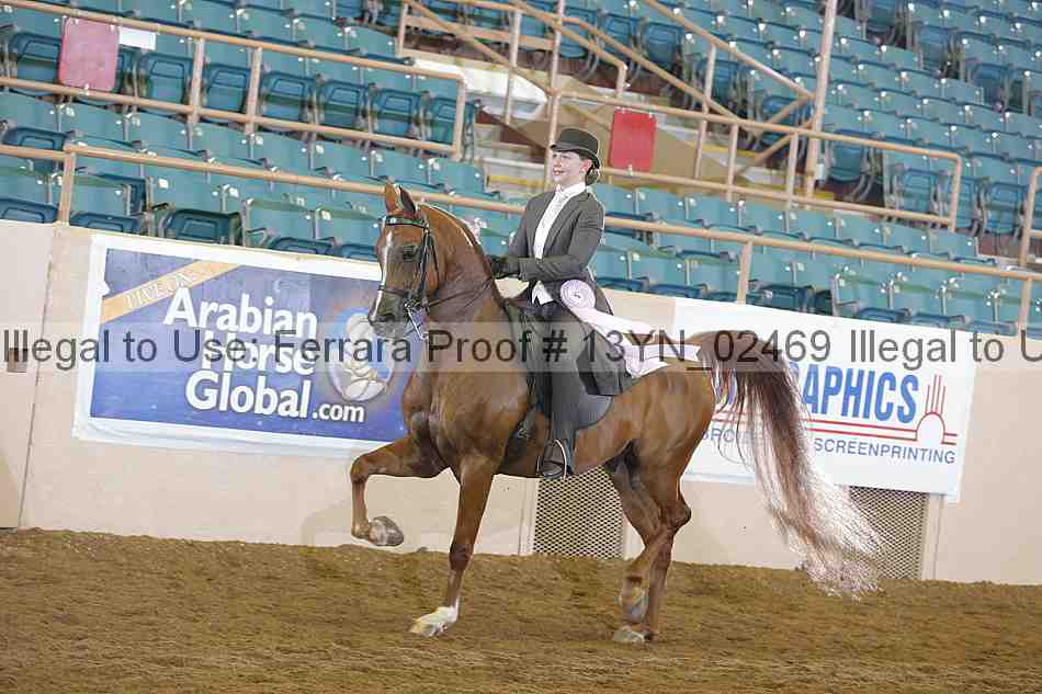 Proof 13yn_02469