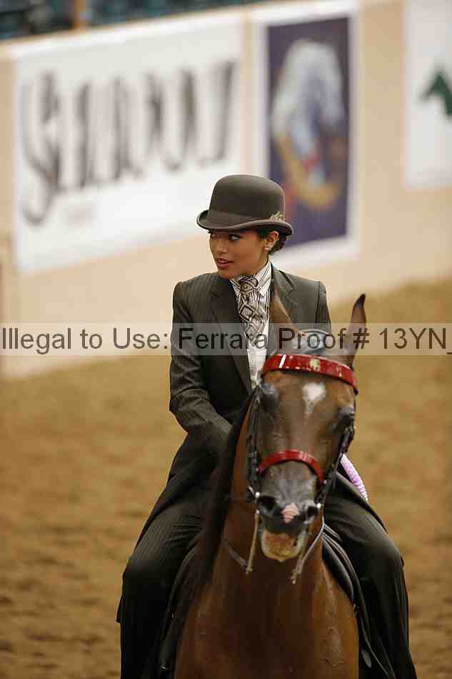Proof 13yn_02470