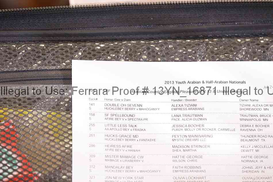 Proof 13yn_16871