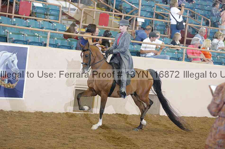 Proof 13yn_16872