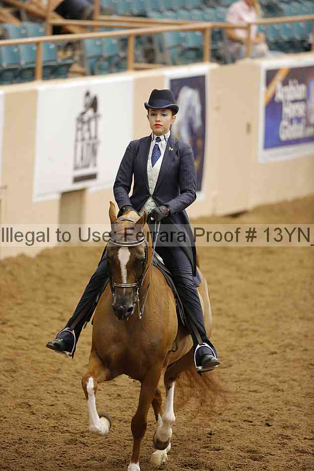 Proof 13yn_16906