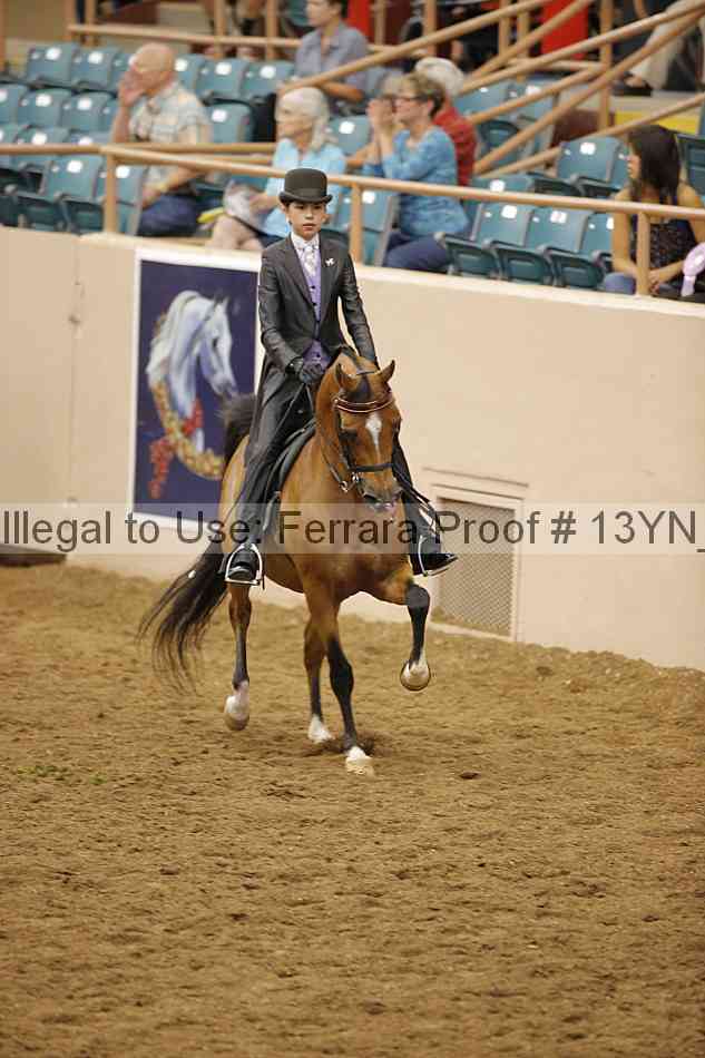Proof 13yn_16909