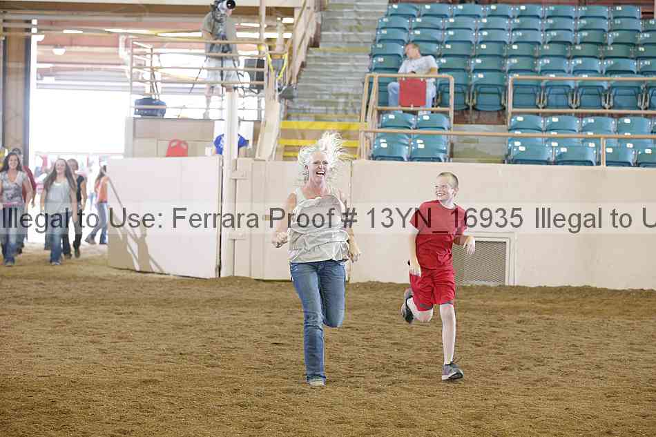 Proof 13yn_16935
