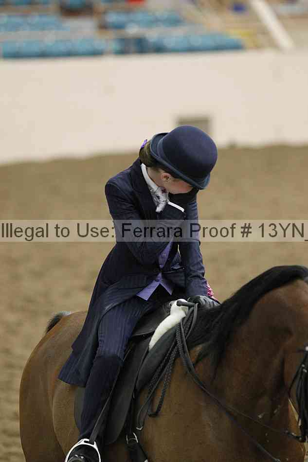 Proof 13yn_16983