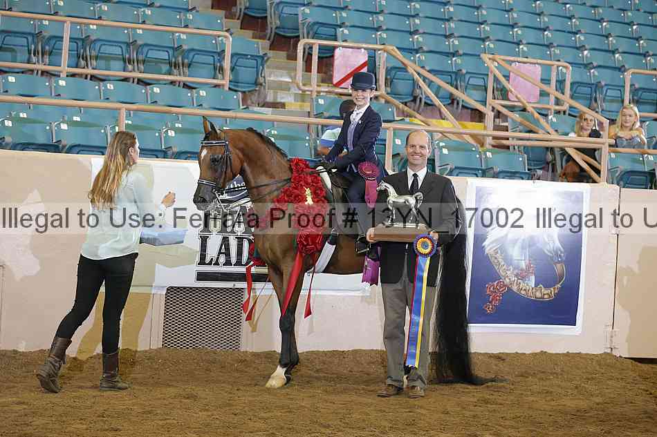 Proof 13yn_17002
