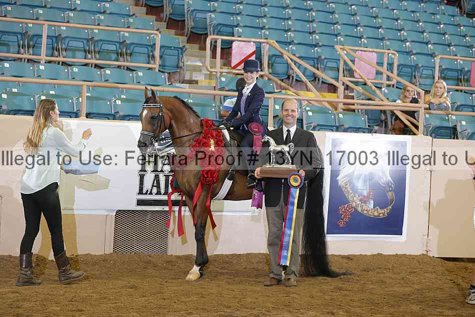 Proof 13yn_17003