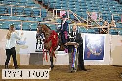 13yn_17003 proof