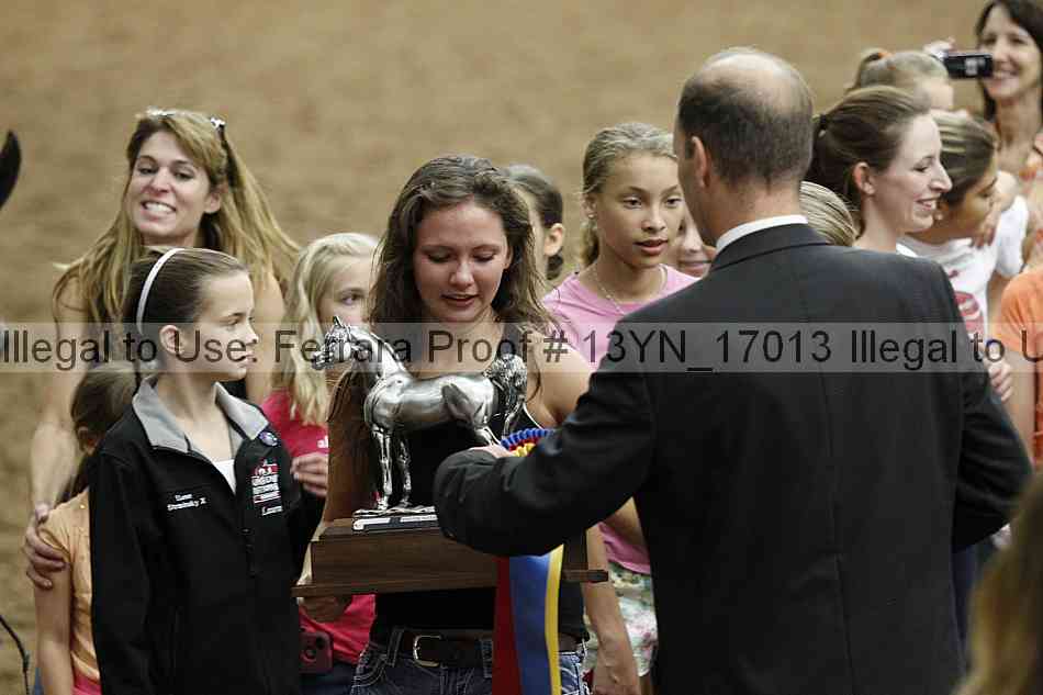 Proof 13yn_17013